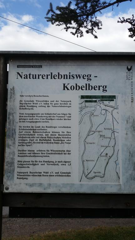 森林酒店 - 席德霍夫酒店 Wiesenfelden 外观 照片